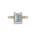 Completed Ring (United States Size 5.00)