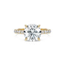 Completed Ring (United States Size 7.25)