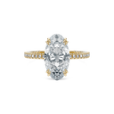 Completed Ring (United States Size 7.50)