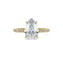 Completed Ring (United States Size 6.50)