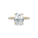 Completed Ring (United States Size 4.25)