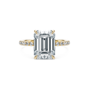 Completed Ring (United States Size 8.00)