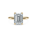Completed Ring (United States Size 5.50)