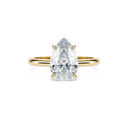 Completed Ring (United States Size 8.00)
