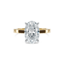 Completed Ring (United States Size 7.00)