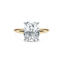 Completed Ring (United States Size 4.50)