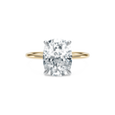 Completed Ring (United States Size 8.00)
