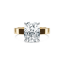 Completed Ring (United States Size 5.75)