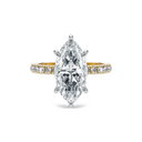 Completed Ring (United States Size 6.50)