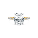 Completed Ring (United States Size 6.00)