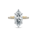 Completed Ring (United States Size 5.50)