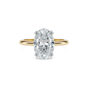 Completed Ring (United States Size 7.00)